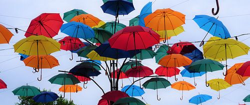 Bunter Regenschirm in Sofia