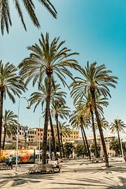 Summer vibes by Lima Fotografie