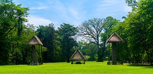 Guatemala: Archeologisch park en ruïnes van Quirigua