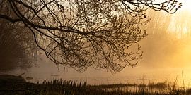 Nootdorp lakes 3 by Cobi de Jong