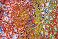 Abstract multicolor by Rob Hendriks thumbnail