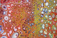 Abstract multicolor