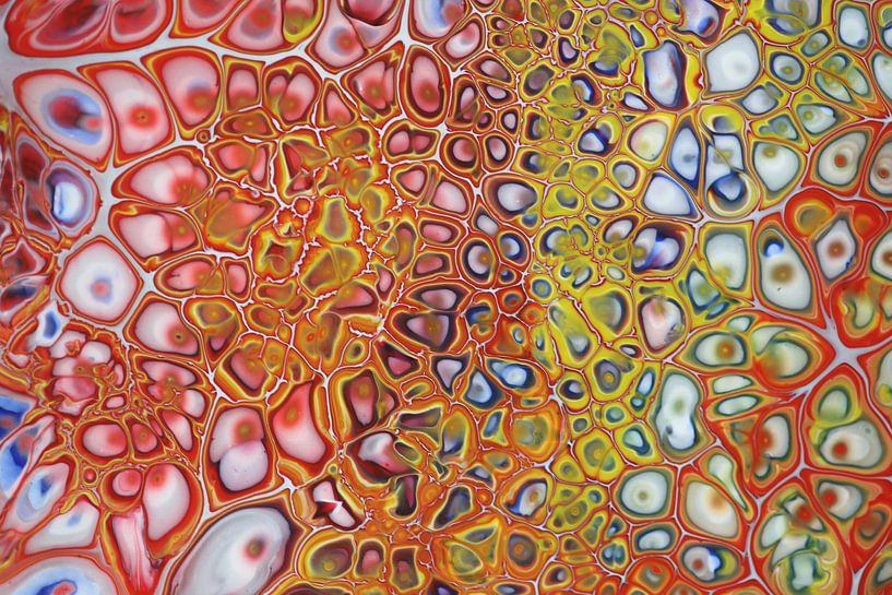 Abstract multicolor by Rob Hendriks