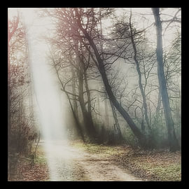Sunbeams illuminate your path by Menno Bausch