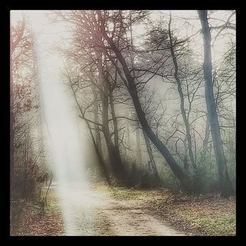 Les rayons du soleil illuminent votre chemin