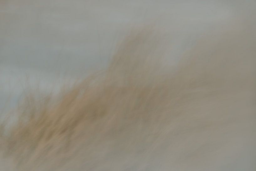 North Holland landscape faded dune by sonja koning