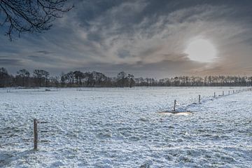 Zonsopkomst in de winter van Inge Heeringa