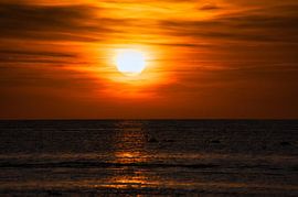 Sunset on the beach of Poel with swans by Martin Köbsch
