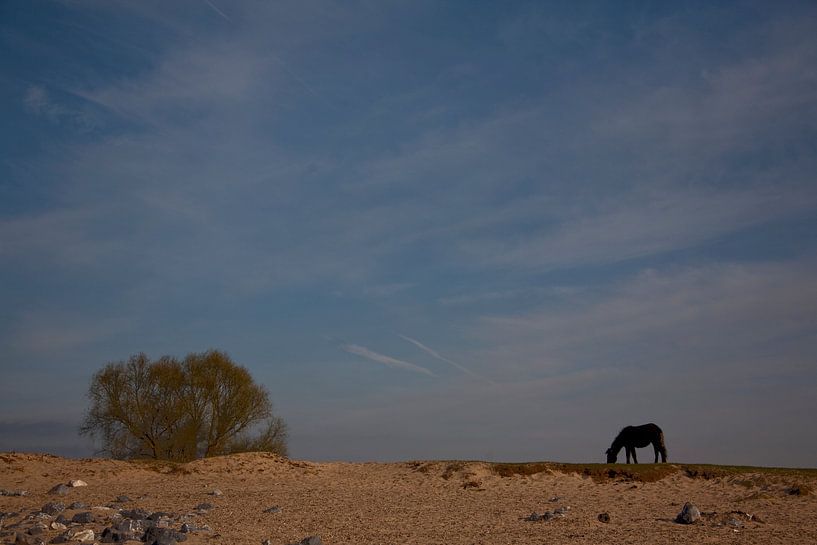 Landschap  van Mart van Zwam