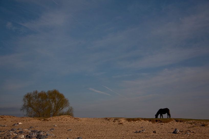 Landschap  von Mart van Zwam