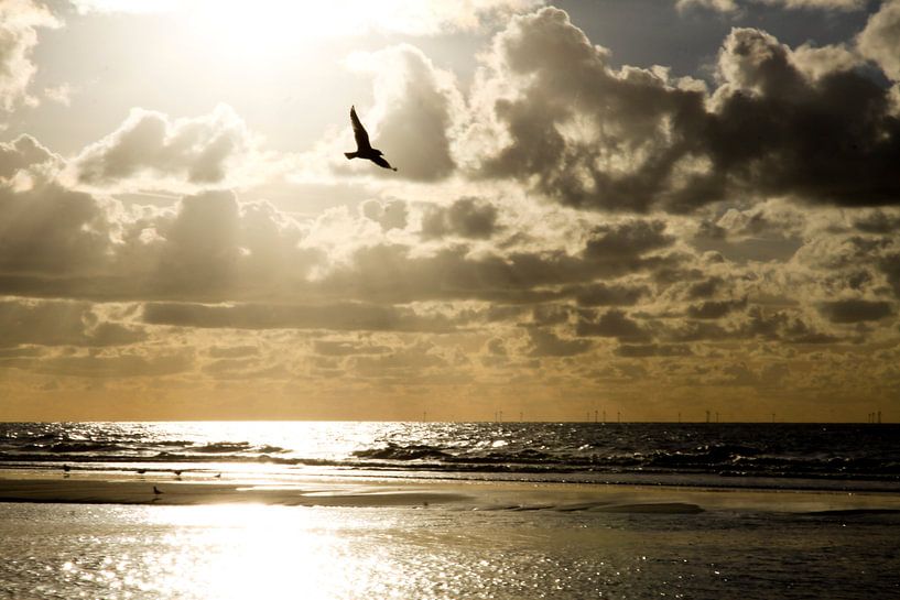 North Sea coast by Cora Unk