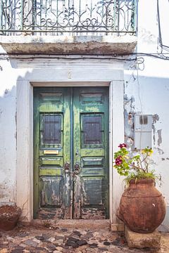 The old green door by Truus Nijland