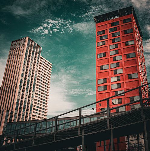 Strijp-S Haasje on the & Lighthouse