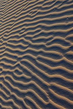 Schiermonnikoog - Sandmuster in der goldenen Abendsonne von Daniël Nelck