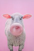 Schaap met Kauwgombel op Roze Achtergrond - Speels en Eigenzinnig Kunstwerk