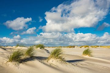 Landscape with dunes on the island Amrum by Rico Ködder