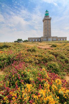 Cap Frehel met gele en paarse heide in de zomer