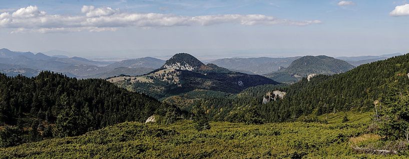 Tesla by Stefan Havadi-Nagy