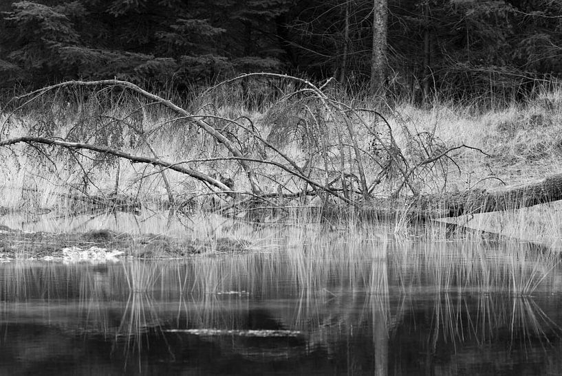 Perishability by Hetwie van der Putten