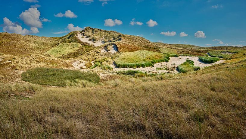 dunes le paysage côtier des Pays-Bas par eric van der eijkj