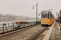 Tram door Boedapest stad, Hongarije van Manon Visser thumbnail