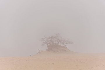 Nebel von Ans Bastiaanssen