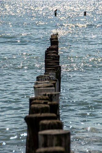 Paalhoofden aan de kust bij Zoutelande
