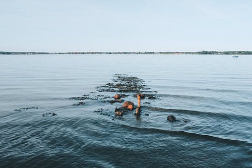Geraakt door de ochtendzon