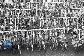 fietsen station Antwerpen - Bergem van Henriette Tischler van Sleen