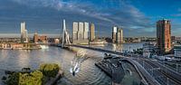Rotterdam op zijn mooist van Midi010 Fotografie thumbnail