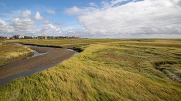 Tideway in the sand meadows in front of SPO by Alexander Wolff
