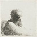 Alter Mann schaut nach unten: Dreiviertel, rechts, Rembrandt van Rijn von Ed z'n Schets Miniaturansicht