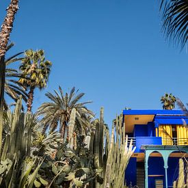 Le jardin d'Yves Saint Laurent, le Jardin Majorelle, à Marrakech, au Maroc. sur W Machiels