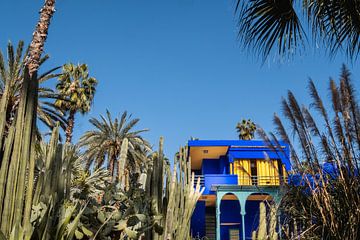 De tuin van Yves Saint Laurent, Jardin Majorelle, in Marrakech, Marokko.