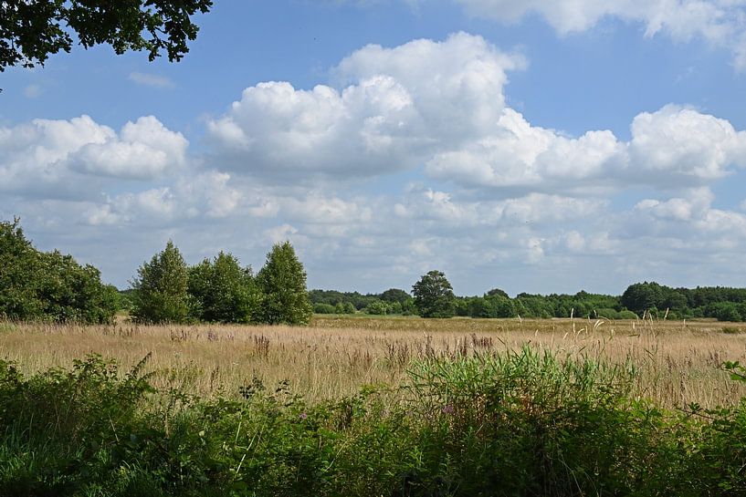 De beaux nuages au-dessus du Gastersche diep par Tjamme Vis