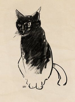 Micky , katten tekening van Pieter Hogenbirk