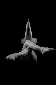 Silhouette in Silence - Artistic Black and White Photography