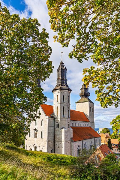 Uitzicht op de kathedrale kerk in Visby op Gotland, Zweden van Rico Ködder
