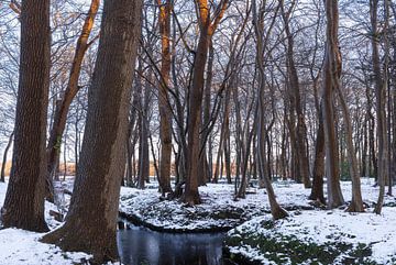 Winter in Groningen (Nederland) van Marcel Kerdijk
