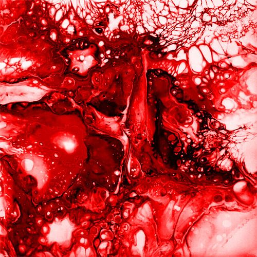 Rood universum in rood