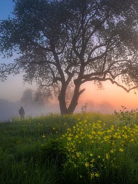 Verträumte Welt von Erel Turkay