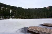 IJzige Mummelsee met twee boardwalks en bos op de achtergrond