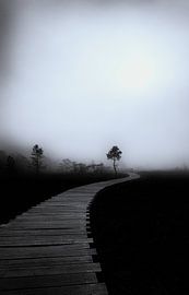 Fog in the moor by Ken Kühlbrandt