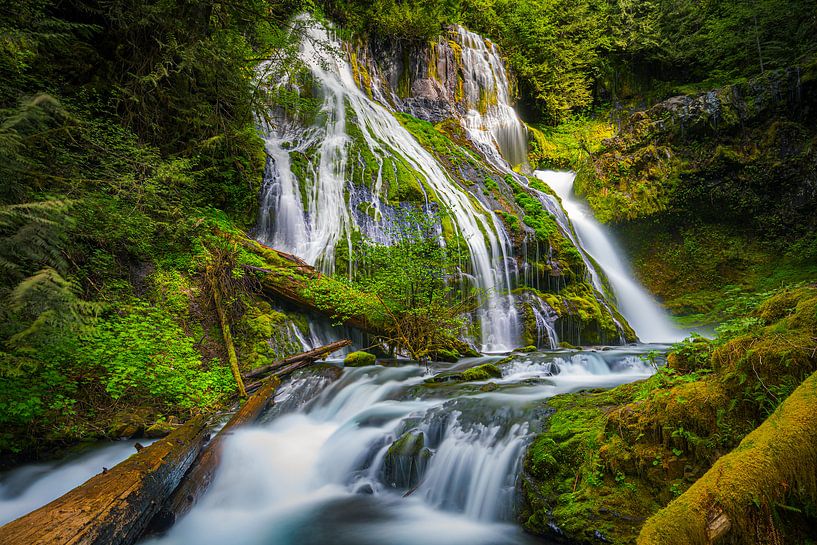 Panther Creek Falls von Henk Meijer Photography