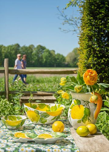 Piccobella tableware with lemons