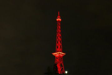 Radiotorens Berlijn in rood licht van Frank Herrmann