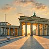 Brandenburger Tor in Berlijn van Michael Valjak