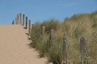 Strandopgang met duinen in Katwijk