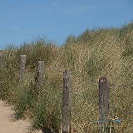 Strandopgang met duinen in Katwijk van Rianne Ouwerkerk