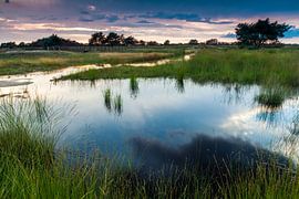 Eisenmann Hohe Veluwe von Jaap Meijer